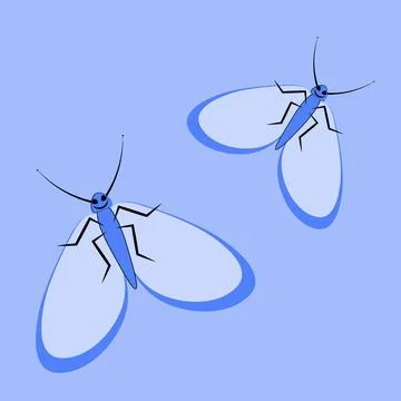 Illustration on a square background - a pair of happy moths in flight. Valent Stock Illustration