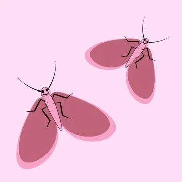 Illustration on a square background - a pair of happy moths in flight. Valent Stock Illustration