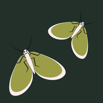 Illustration on a square background - a pair of happy moths in flight. Valent Stock Illustration