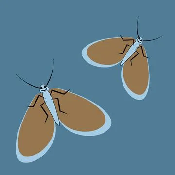 Illustration on a square background - a pair of happy moths in flight. Valent Stock Illustration