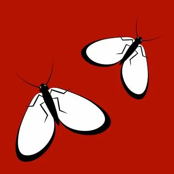 Illustration on a square background - a pair of happy moths in flight. Valent Stock Illustration