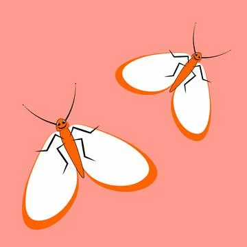 Illustration on a square background - a pair of happy moths in flight. Valent Stock Illustration