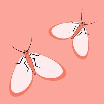 Illustration on a square background - a pair of happy moths in flight. Valent Stock Illustration