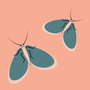 Illustration on a square background - a pair of happy moths in flight. Valent Stock Illustration