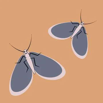 Illustration on a square background - a pair of happy moths in flight. Valent Stock Illustration