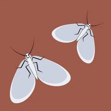 Illustration on a square background - a pair of happy moths in flight. Valent Stock Illustration