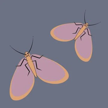 Illustration on a square background - a pair of happy moths in flight. Valent Stock Illustration