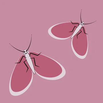 Illustration on a square background - a pair of happy moths in flight. Valent Stock Illustration