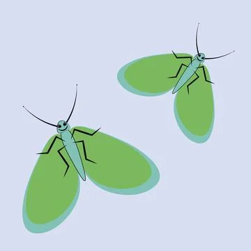 Illustration on a square background - a pair of happy moths in flight. Valent Stock Illustration