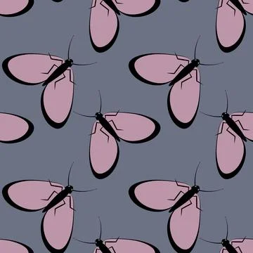 Illustration on a square background - stylized moths - graphics. Summer, inse Stock Illustration