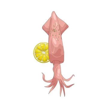 Illustration of Squid Stockillustratie
