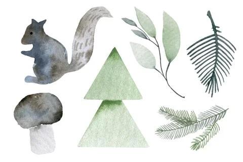 Illustration of a squirrel in the forest. watercolor elements mushrooms, Stock Illustration