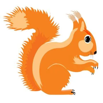 Illustration of the squirrel Stock Illustration