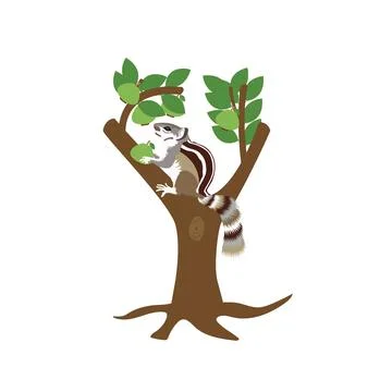 Illustration of squirrel in the tree with guava vector design Stock Illustration