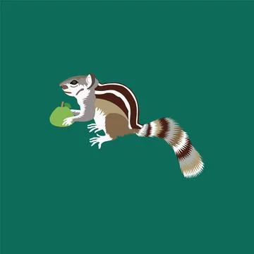Illustration of squirrel vector design on white background Stock-Illustration