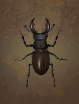 Illustration of stag beetle on bark Stock-Illustration