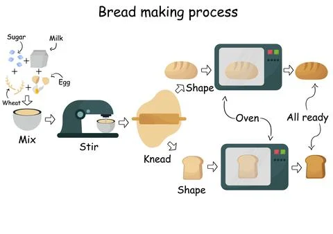 Illustration of the stages of bread making Stock-Illustration