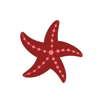 Illustration of starfish on white background. Vector illustration cartoon fla Stock Illustration