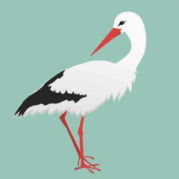 An illustration of a stork Illustrazione stock