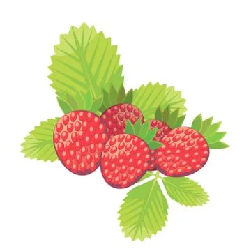 Illustration of strawberry Stock Illustration