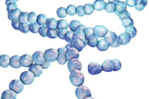 Illustration of streptococcus bacteria Illustrazione stock