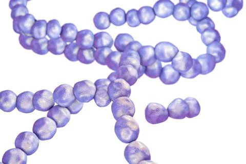 Illustration of streptococcus bacteria Stock Illustration