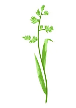 Illustration of stylized cereal grass. Stock Illustration