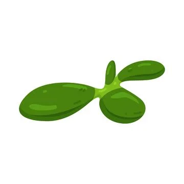 Illustration of succulent Stock Illustration