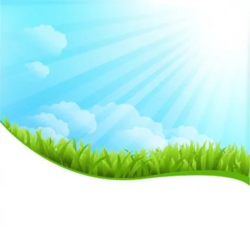 Illustration of summer grass Stock Illustration