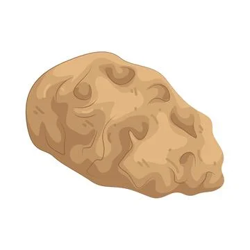 Illustration of sunchoke Illustrazione stock