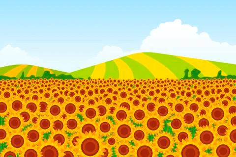 Illustration of a sunflower field with background fields on a background. Vec Stock Illustration