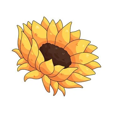 Illustration of sunflower Ilustração Stock