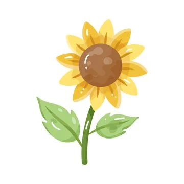 Illustration of sunflower Stock Illustration