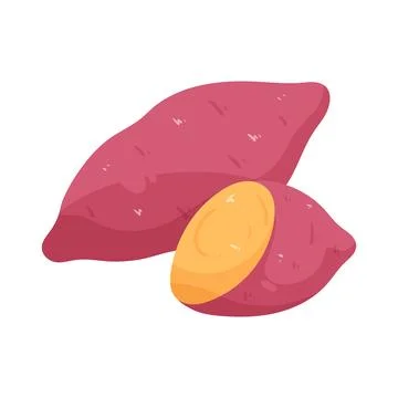 Illustration of sweet potato Stock Illustration