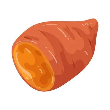 Illustration of sweet potato Stock Illustration