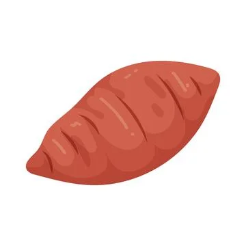 Illustration of sweet potato Stock Illustration