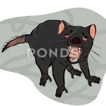 Illustration of the Tasmanian devil background: Royalty Free #258400470