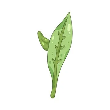 Illustration of tea sprout Stock Illustration
