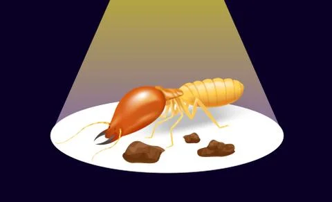 Illustration termite on the dark background and spotlight shine, insect speci Illustrazione stock