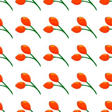 Illustration on theme big colored seamless rose hip Stock Illustration