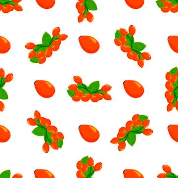 Illustration on theme big colored seamless rose hip Stock Illustration