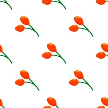 Illustration on theme big colored seamless rose hip Stock Illustration