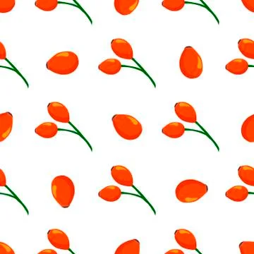 Illustration on theme big colored seamless rose hip Stock Illustration