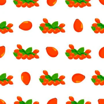 Illustration on theme big colored seamless rose hip Stock Illustration