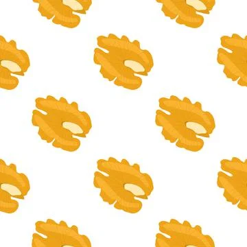 Illustration on theme big pattern identical types walnut 스톡 일러스트