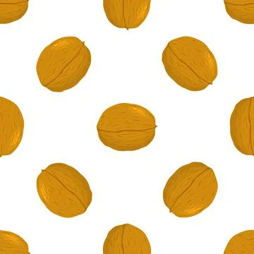 Illustration on theme big pattern identical types walnut Illustrazione stock