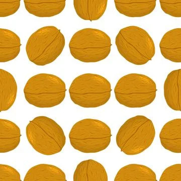 Illustration on theme big pattern identical types walnut 스톡 일러스트
