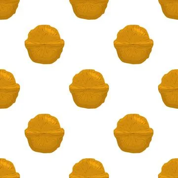 Illustration on theme big pattern identical types walnut Stock Illustration