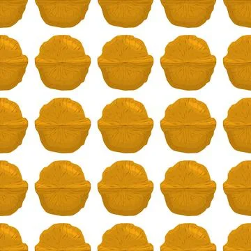 Illustration on theme big pattern identical types walnut Stock Illustration