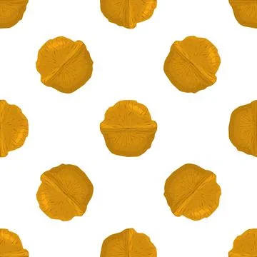 Illustration on theme big pattern identical types walnut 스톡 일러스트